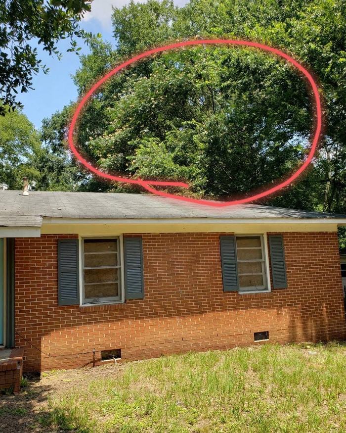Homeowner photo of overgrown tree limbs circled in red hanging over the roof of a brick house in Macon, Georgia